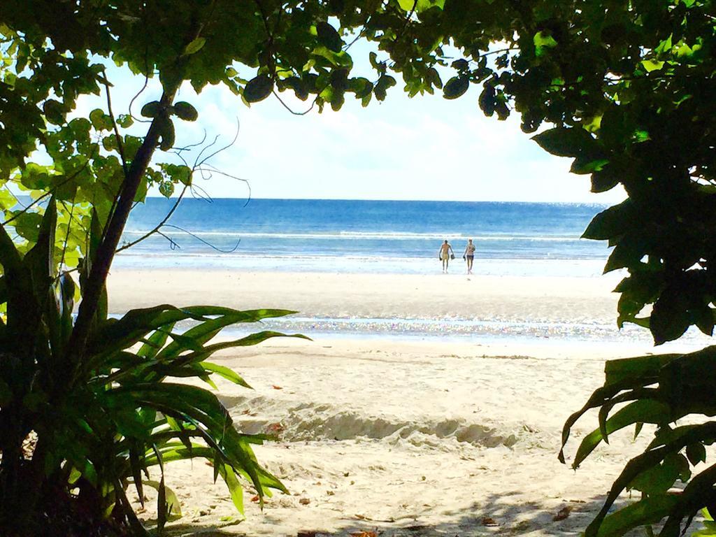 Cape Tribulation Holiday House Bagian luar foto