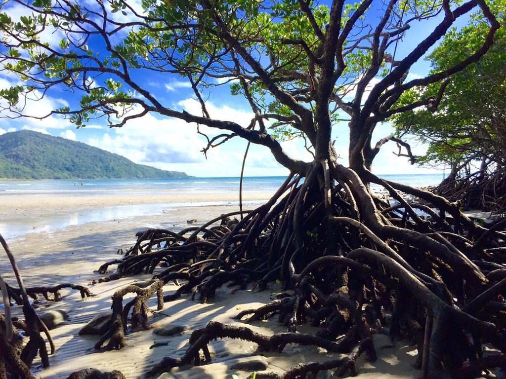 Cape Tribulation Holiday House Bagian luar foto