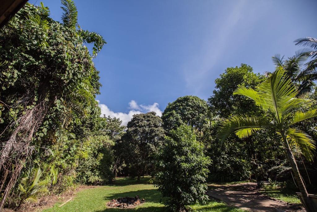 Cape Tribulation Holiday House Bagian luar foto