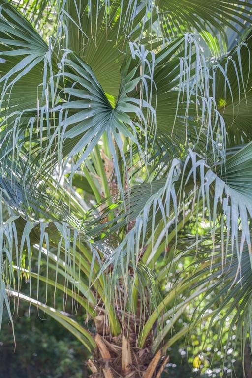 Cape Tribulation Holiday House Bagian luar foto