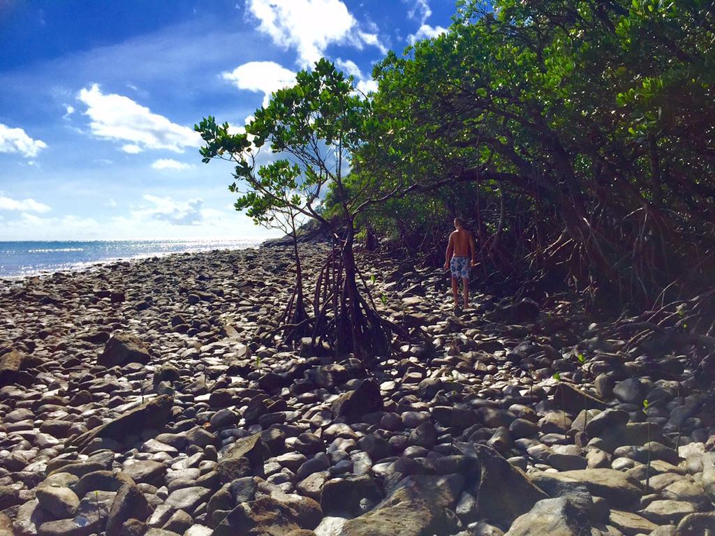 Cape Tribulation Holiday House Bagian luar foto