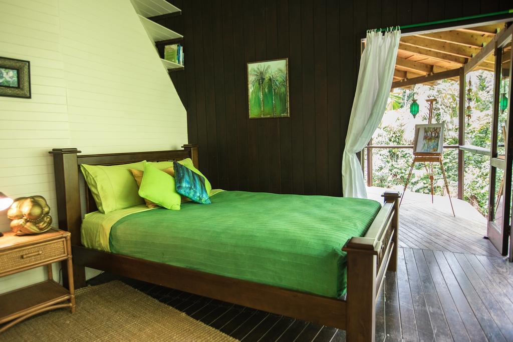 Cape Tribulation Holiday House Bagian luar foto
