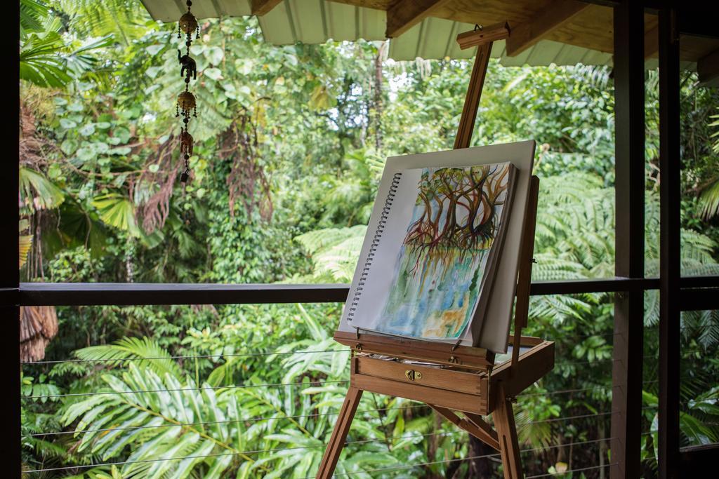 Cape Tribulation Holiday House Bagian luar foto