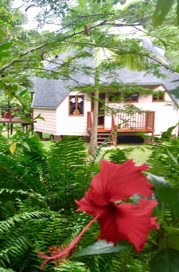 Cape Tribulation Holiday House Bagian luar foto